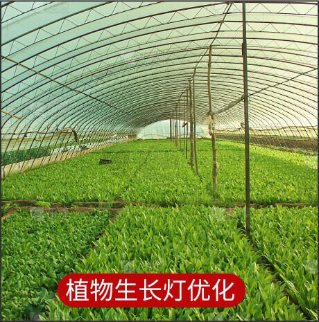 光谱照度计 图20
