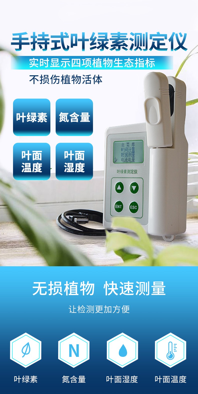 叶绿素测定仪