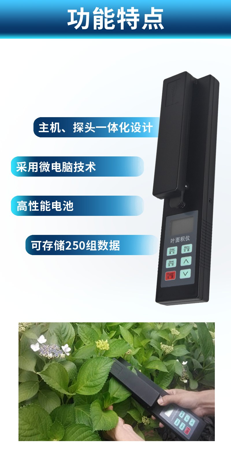 叶面积仪（YMJ-A）