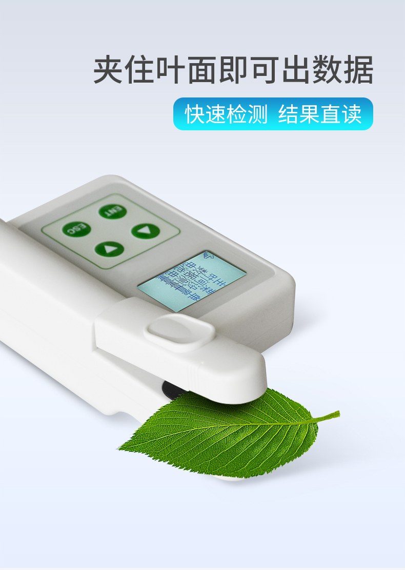 叶绿素仪