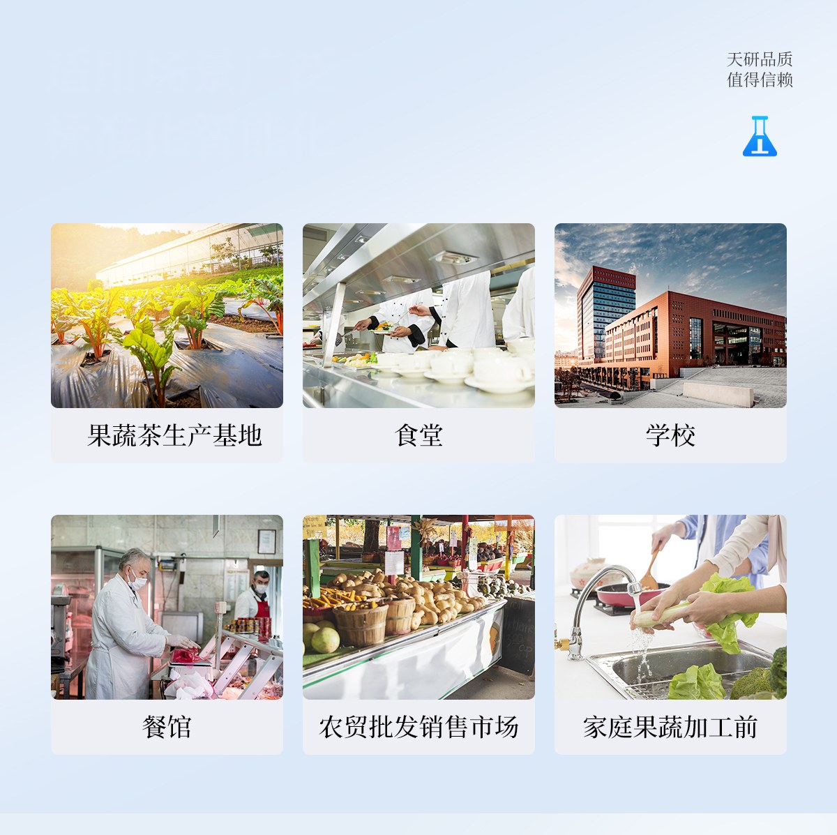 茶叶12通道农药残留检测仪
